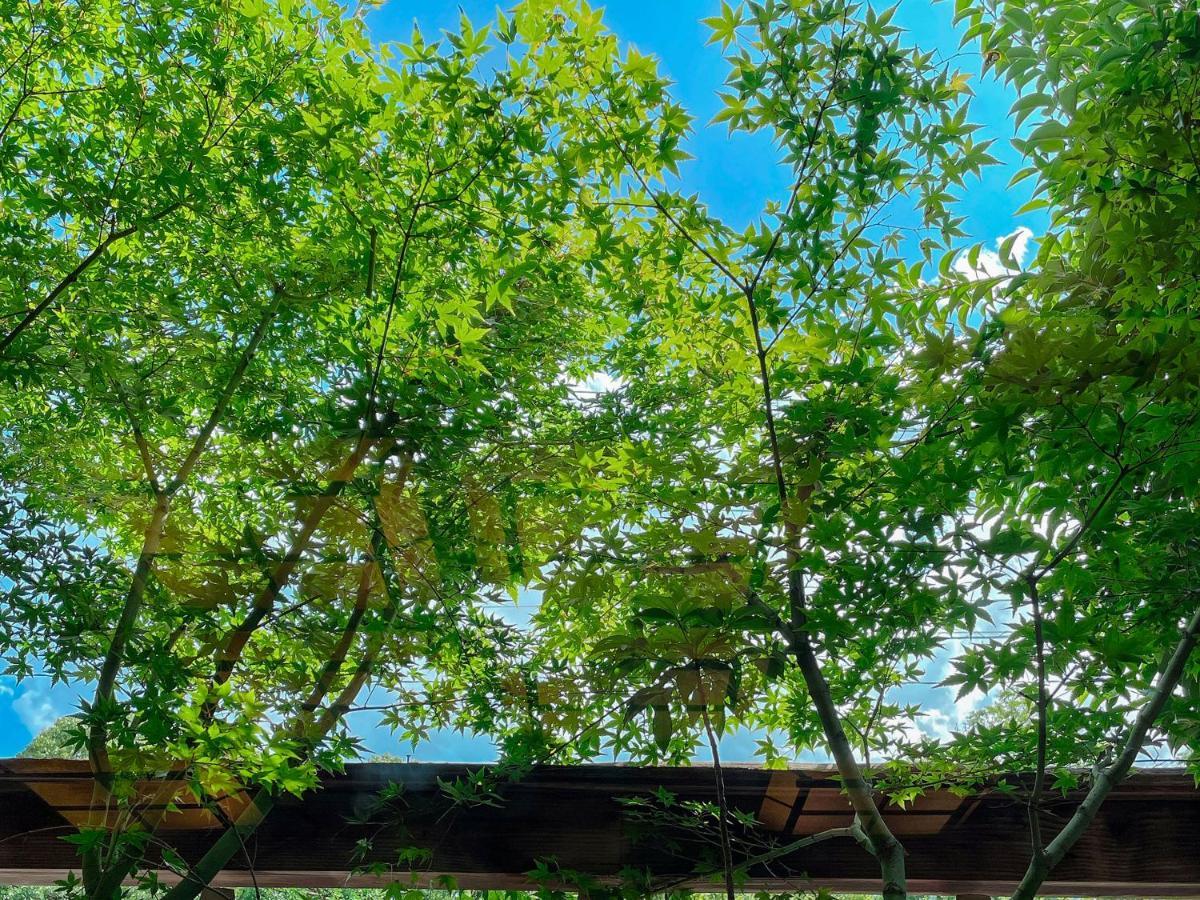 Kappo Ryokan Yumesaki بيبّ المظهر الخارجي الصورة